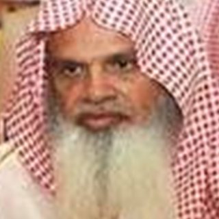 Ali Al-Hudhaifi, Quran reciter